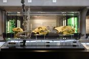 manchester museum 9-2023 8836